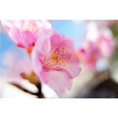 L10 Yoshinori Mizutani 24mm f1